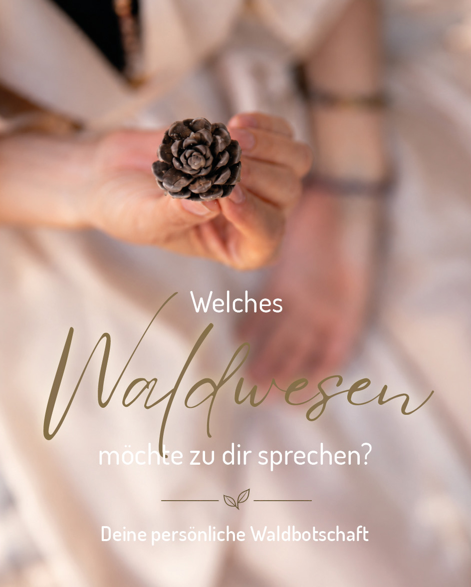 Welches Waldwesen möchte zu dir sprechen? Eine Frau die im Hintergrund unscharf ist, hält einen kleinen Kiefernzapfen in die Kamera.