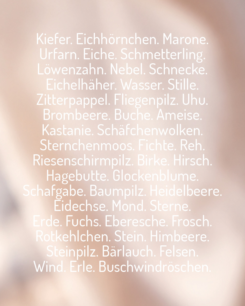 Waldwesen Waldbotschaft Katrin Sommer beiger Untergrund mit Text wie z.B. Kiefer. Eichhörnchen. Marone. Urfarn. Eiche. Schmetterling.