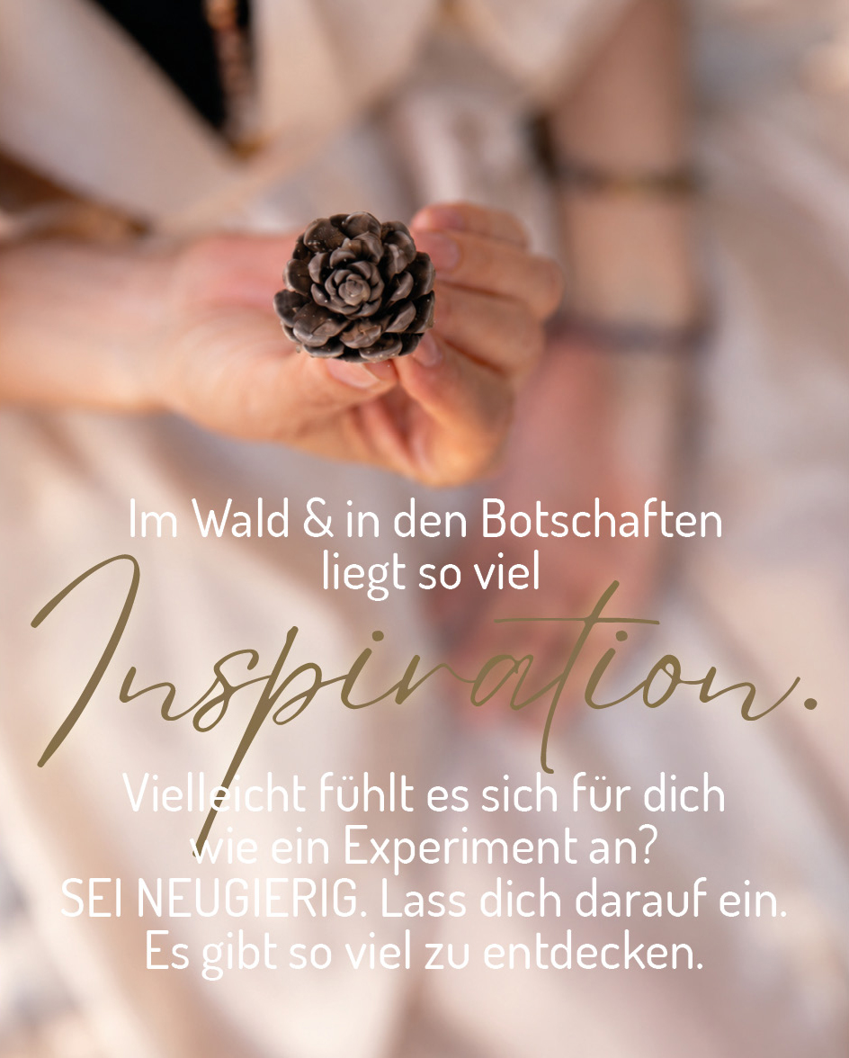 inspirierende Waldbotschaften Eine Frau die im Hintergrund unscharf ist, hält einen kleinen Kiefernzapfen in die Kamera.