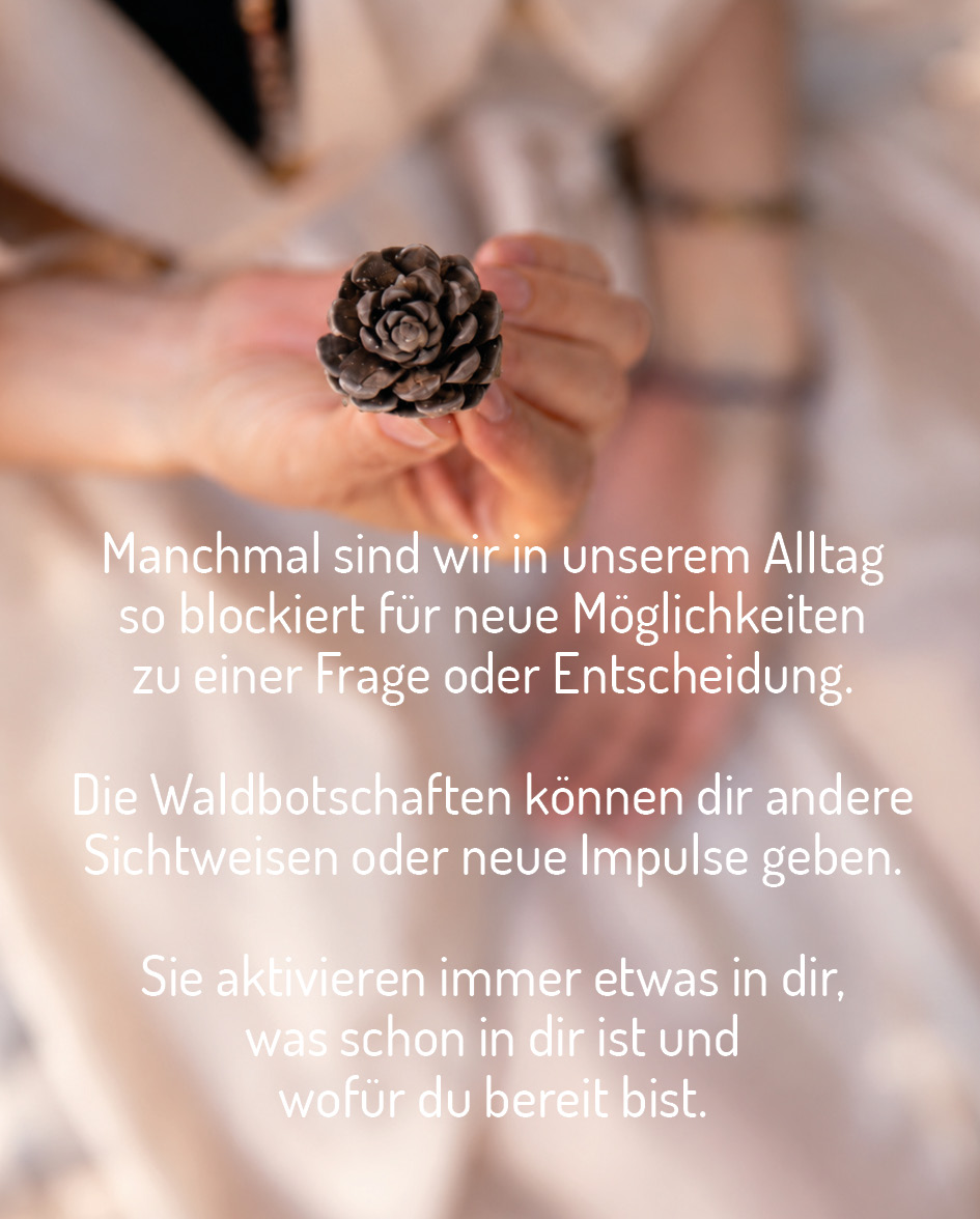 Waldbotschaft Katrin Sommer Waldlebewesen Eine Frau die im Hintergrund unscharf ist, hält einen kleinen Kiefernzapfen in die Kamera.